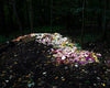 The Compost Heap, Cig Harvey