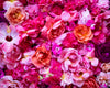All The Pink Flowers, 2020, Cig Harvey