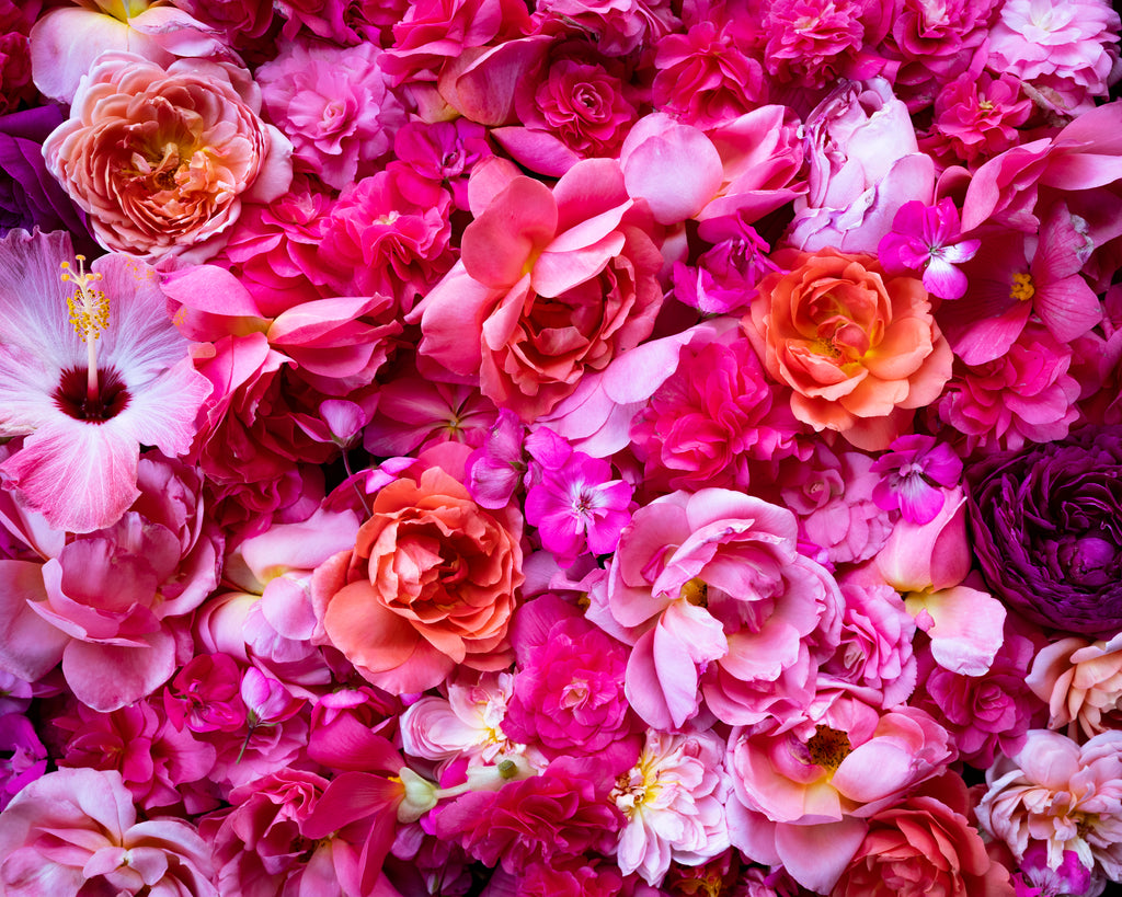 All The Pink Flowers, 2020, Cig Harvey