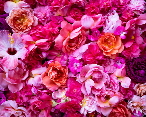 All The Pink Flowers, 2020, Cig Harvey