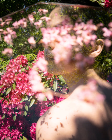 All The Rhododendrons, 2019, Cig Harvey
