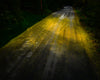 Gold Road, 2023, Cig Harvey