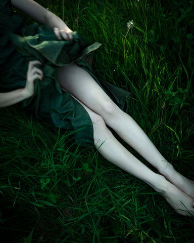 The Meadow, 2021, Cig Harvey