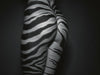 Zebra Arse, 2000, Bob Carlos Clarke